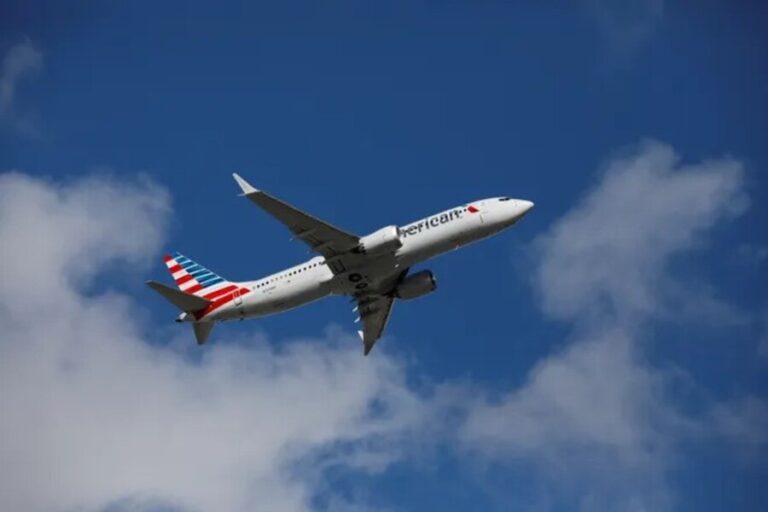 American Airlines Flight Diverted After Bird Strike Incident in NYC