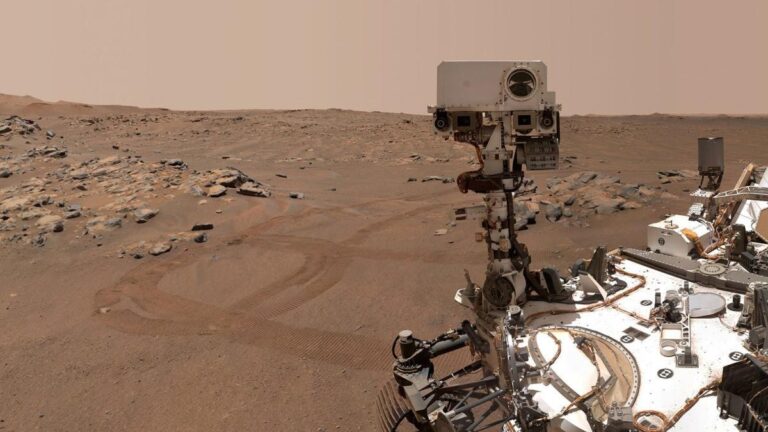 NASA Mars Rover Image of 'Fly' Debunked