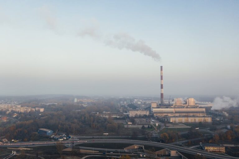 Who Produces the Most Carbon Emissions